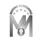 logo-merino-mentoring-gris.jpg